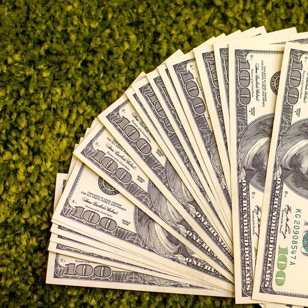 Dollar Bills Laying Green Grass Carpet Background — Stock Photo, Image