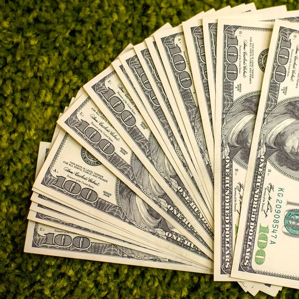 Dollar Bills Laying Green Grass Carpet Background — Stock Photo, Image