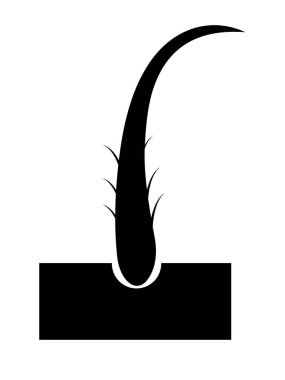 İkon kırıkları, saç simgesi, siyah saç çizgisi silueti. Vektör deposu.