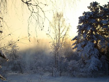 Kış ormanında gün batımı