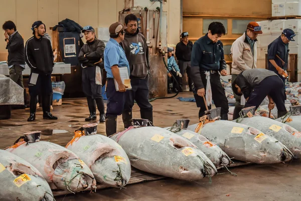 Tokyo Daki Tsukiji Pazarında Lüks Donmuş Ton Balığı Açık Artırması Telifsiz Stok Fotoğraflar