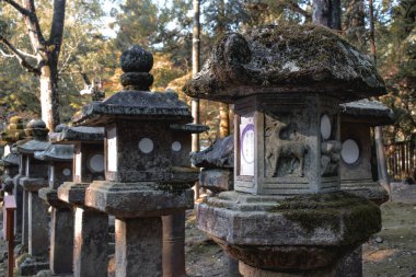 Nara Japonya 'daki Kasuga Taisha Tapınağı' nda taş fener hattı.