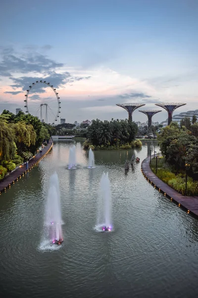 Blik Singapore Flyer Supertree Grove Vanuit Gardens Bay Singapore — Stockfoto