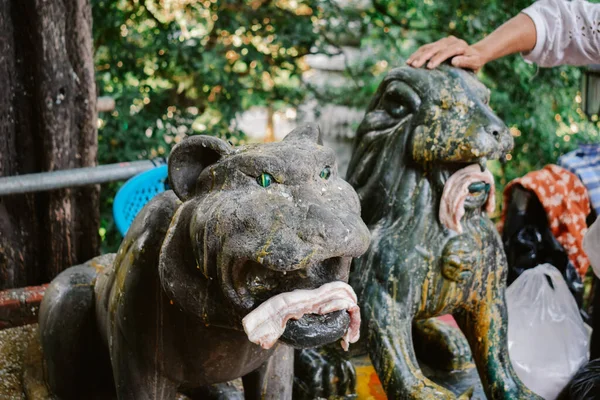 Estatuas Tigre León Con Regalos Sacrificio Jamón Los Adoradores Templo — Foto de Stock