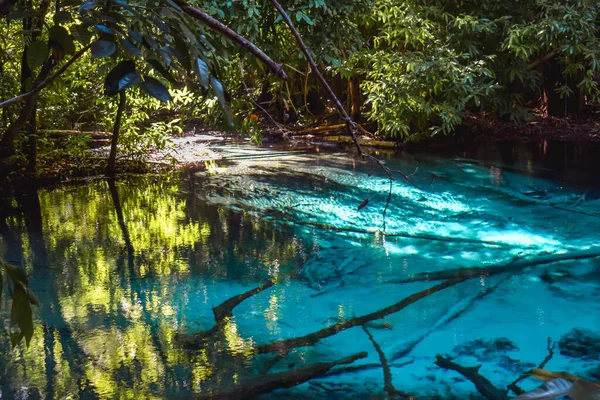 Wunderschönes Cyanwasser Des Smaragdgrünen Teiches Inmitten Des Wilden Dschungels Krabi — Stockfoto