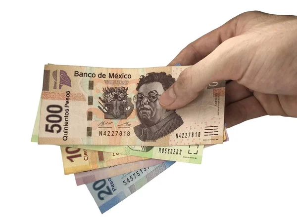 Mão masculina segurando um grupo de notas de peso mexicano isolado em um fundo branco Imagens Royalty-Free