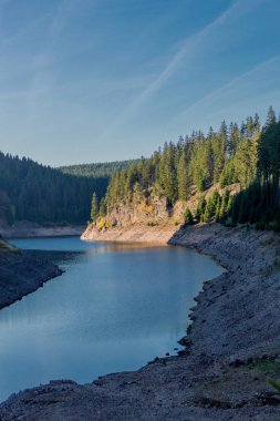 Thüringen Ormanı 'ndaki dar su barajının etrafında sonbahar yürüyüşü - Tambach-Dietharz / Almanya