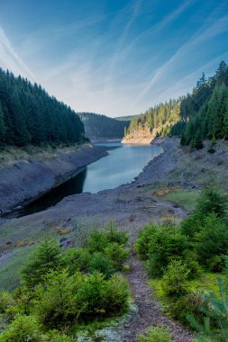 Thüringen Ormanı 'ndaki dar su barajının etrafında sonbahar yürüyüşü - Tambach-Dietharz / Almanya