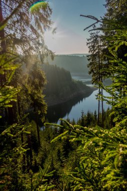Thüringen Ormanı 'ndaki dar su barajının etrafında sonbahar yürüyüşü - Tambach-Dietharz / Almanya