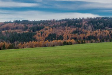 Pazar günü Rennsteig boyunca Thuringian Ormanı - Rennsteig / Thuringia / Almanya