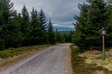 Pazar günü Rennsteig boyunca Thuringian Ormanı - Rennsteig / Thuringia / Almanya