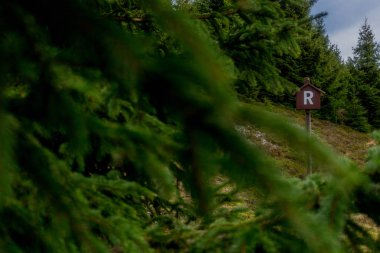 Pazar günü Rennsteig boyunca Thuringian Ormanı - Rennsteig / Thuringia / Almanya