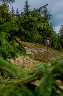 Pazar günü Rennsteig boyunca Thuringian Ormanı - Rennsteig / Thuringia / Almanya