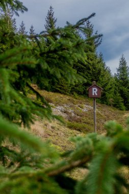 Pazar günü Rennsteig boyunca Thuringian Ormanı - Rennsteig / Thuringia / Almanya