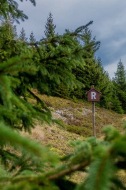Pazar günü Rennsteig boyunca Thuringian Ormanı - Rennsteig / Thuringia / Almanya
