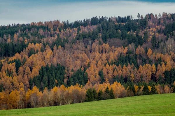 Sonntagswanderung Entlang Des Rennsteiges Thüringer Wald Rennsteiglauf Thüringen Deutschland — Stockfoto