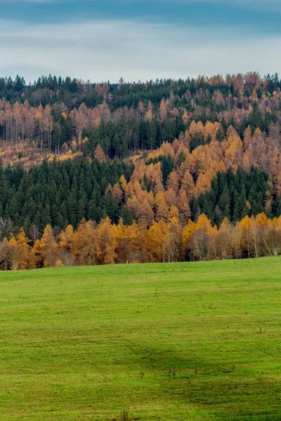 Sonntagswanderung Entlang Des Rennsteiges Thüringer Wald Rennsteiglauf Thüringen Deutschland — Stockfoto