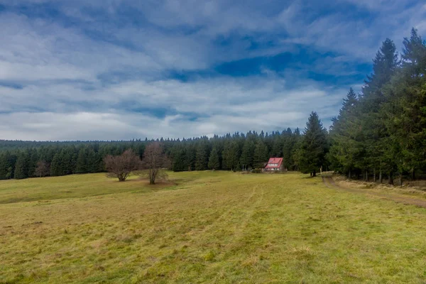 Sonntagswanderung Entlang Des Rennsteiges Thüringer Wald Rennsteiglauf Thüringen Deutschland — Stockfoto