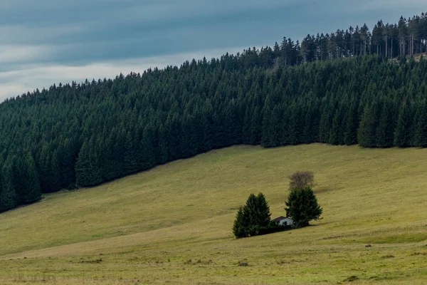 Zondagwandeling Langs Rennsteig Het Thüringer Woud Rennsteig Thüringen Duitsland — Stockfoto