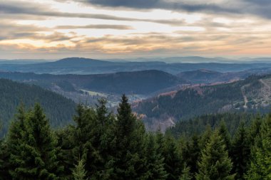 Pazar günü Rennsteig boyunca Thuringian Ormanı - Rennsteig / Thuringia / Almanya