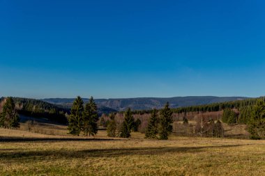 Yeni yıl sabahında Zella-Mehlis yakınlarındaki Ruppberg civarında küçük bir yürüyüş turu - Thüringen / Almanya