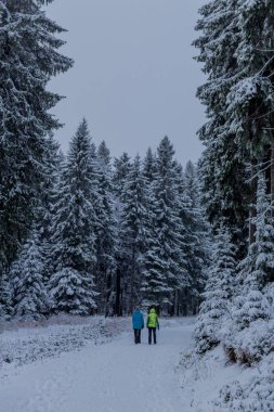 Thüringen Ormanı boyunca Rennsteig boyunca ilk küçük kış yürüyüşü - Oberhof / Almanya