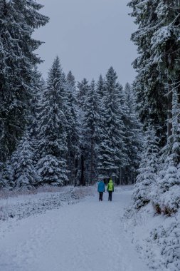 Thüringen Ormanı boyunca Rennsteig boyunca ilk küçük kış yürüyüşü - Oberhof / Almanya