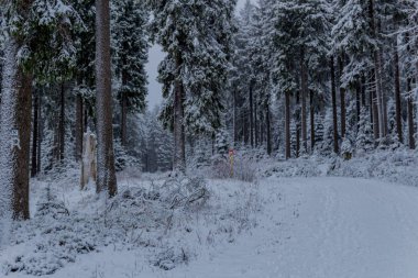 Thüringen Ormanı boyunca Rennsteig boyunca ilk küçük kış yürüyüşü - Oberhof / Almanya