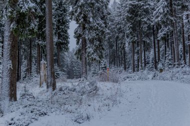 Thüringen Ormanı boyunca Rennsteig boyunca ilk küçük kış yürüyüşü - Oberhof / Almanya