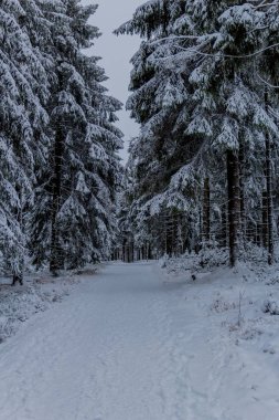 Thüringen Ormanı boyunca Rennsteig boyunca ilk küçük kış yürüyüşü - Oberhof / Almanya