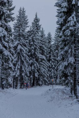 Thüringen Ormanı boyunca Rennsteig boyunca ilk küçük kış yürüyüşü - Oberhof / Almanya