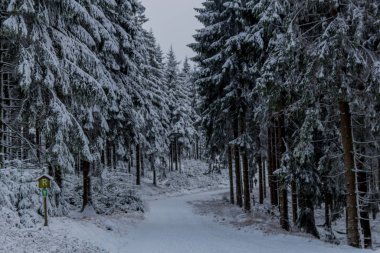 Thüringen Ormanı boyunca Rennsteig boyunca ilk küçük kış yürüyüşü - Oberhof / Almanya