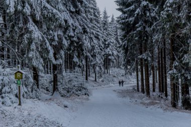Thüringen Ormanı boyunca Rennsteig boyunca ilk küçük kış yürüyüşü - Oberhof / Almanya