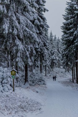 Thüringen Ormanı boyunca Rennsteig boyunca ilk küçük kış yürüyüşü - Oberhof / Almanya