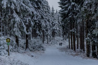 Thüringen Ormanı boyunca Rennsteig boyunca ilk küçük kış yürüyüşü - Oberhof / Almanya