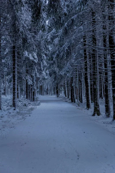 First Small Winter Hike Rennsteig Thuringian Forest Oberhof Germany — Stock Photo, Image