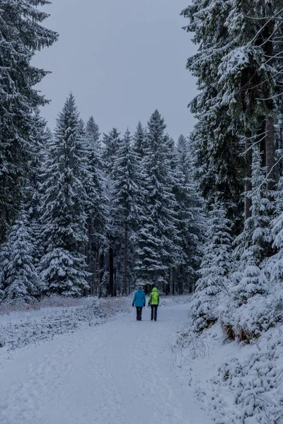 Primeira Pequena Caminhada Inverno Longo Rennsteig Através Floresta Turíngia Oberhof — Fotografia de Stock