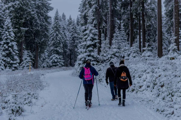 Перші Невеликі Зимові Походи Вздовж Реннштейга Через Туринзький Ліс Оберхоф — стокове фото