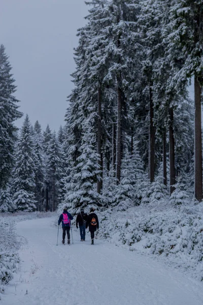 Eerste Kleine Winterwandeling Langs Rennsteig Door Het Thüringer Woud Oberhof — Stockfoto