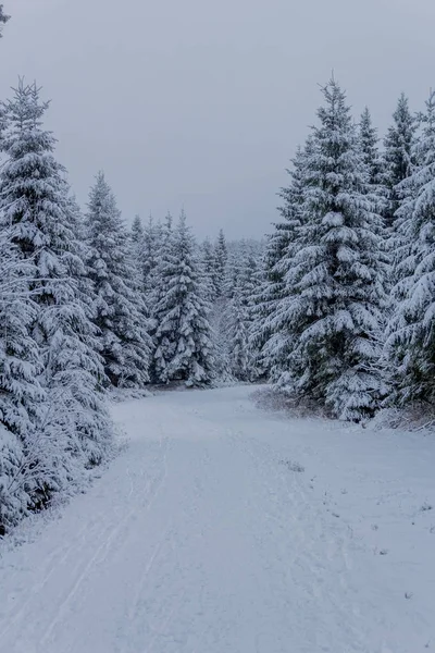 Första Lilla Vintervandringen Längs Rennsteig Genom Thüringen Oberhof Tyskland — Stockfoto