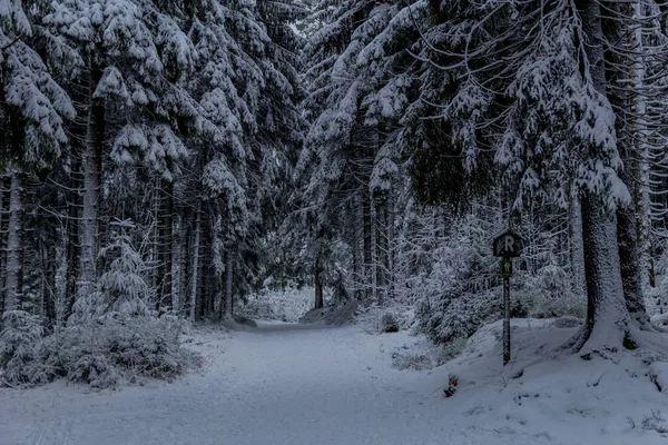 Eerste Kleine Winterwandeling Langs Rennsteig Door Het Thüringer Woud Oberhof — Stockfoto