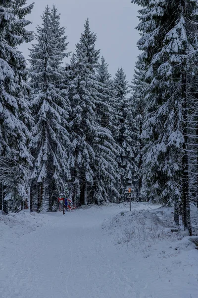Thüringen Ormanı boyunca Rennsteig boyunca ilk küçük kış yürüyüşü - Oberhof / Almanya