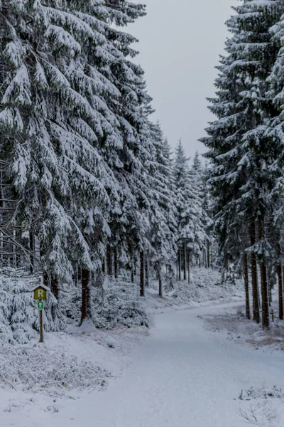 Erste Kleine Winterwanderung Entlang Des Rennsteigs Durch Den Thüringer Wald — Stockfoto