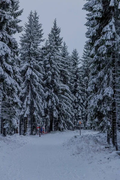 Primeira Pequena Caminhada Inverno Longo Rennsteig Através Floresta Turíngia Oberhof — Fotografia de Stock