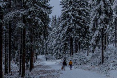 Thüringen Ormanı boyunca Rennsteig boyunca ilk küçük kış yürüyüşü - Oberhof / Almanya