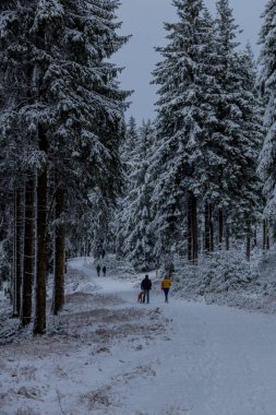 Thüringen Ormanı boyunca Rennsteig boyunca ilk küçük kış yürüyüşü - Oberhof / Almanya