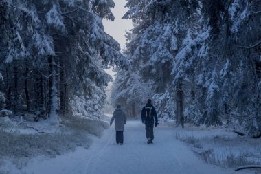 Thüringen Ormanı boyunca Rennsteig boyunca ilk küçük kış yürüyüşü - Oberhof / Almanya