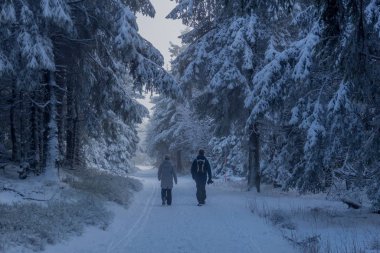 Thüringen Ormanı boyunca Rennsteig boyunca ilk küçük kış yürüyüşü - Oberhof / Almanya