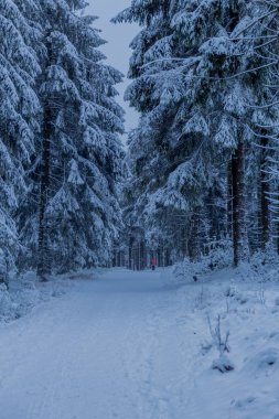 Thüringen Ormanı boyunca Rennsteig boyunca ilk küçük kış yürüyüşü - Oberhof / Almanya
