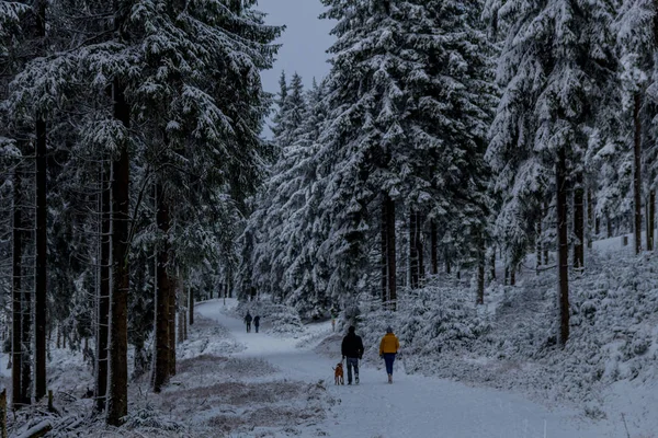 Primeira Pequena Caminhada Inverno Longo Rennsteig Através Floresta Turíngia Oberhof — Fotografia de Stock